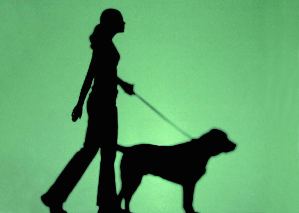 DOG_WALKING