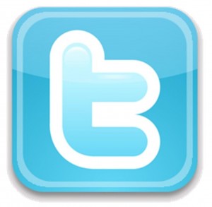 Twitter-Logo-300x293