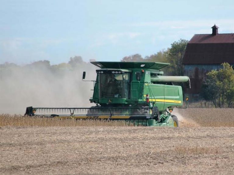 Harvest.800X600