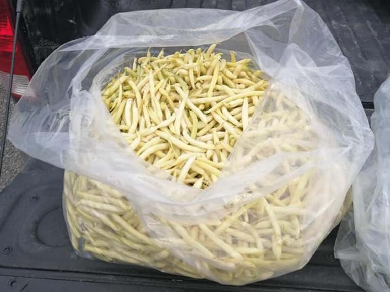 yellow beans produce for heros