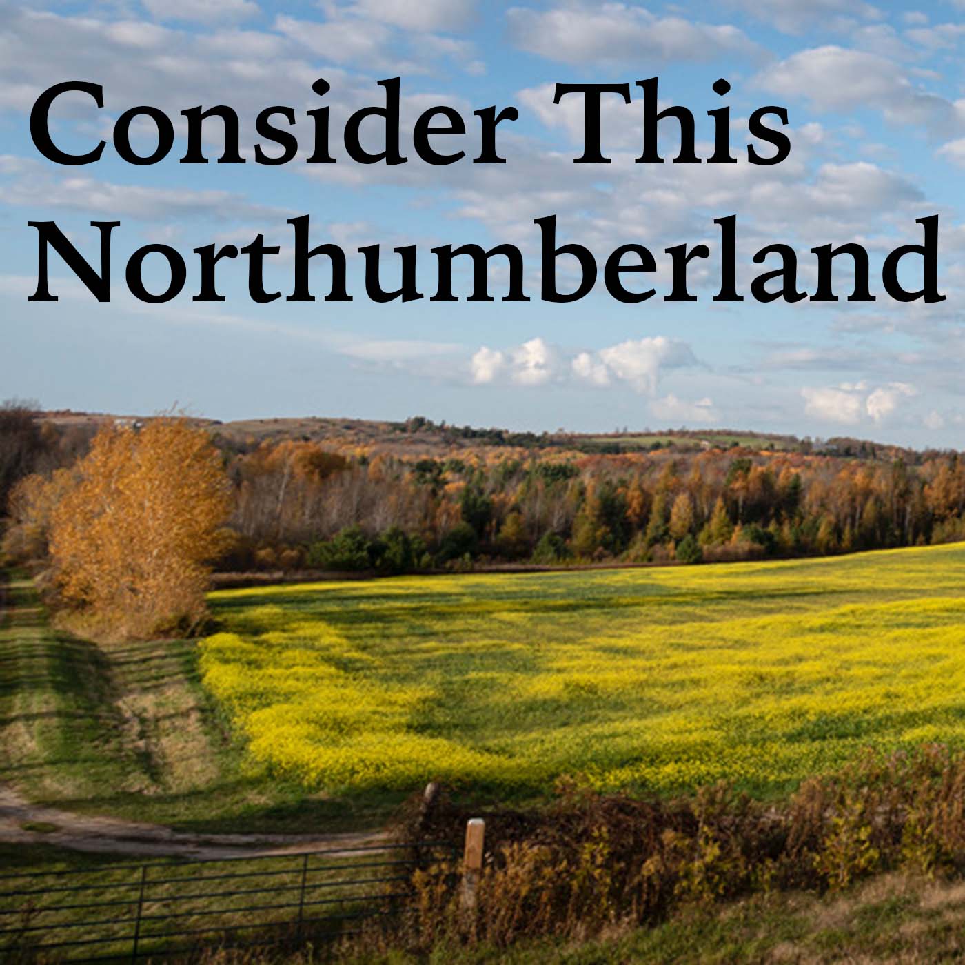 Consider This Northumberland