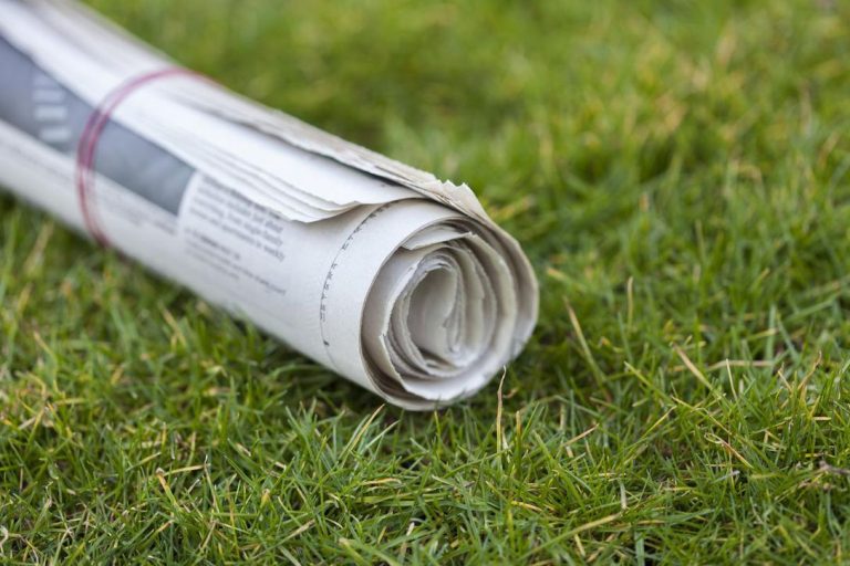 The case for the community newspaper