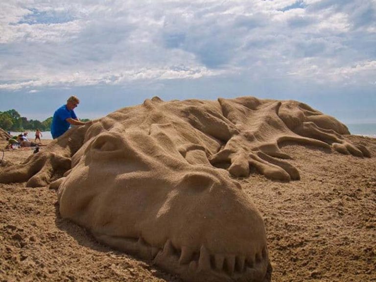 SANDCASTLE FESTIVAL800X600