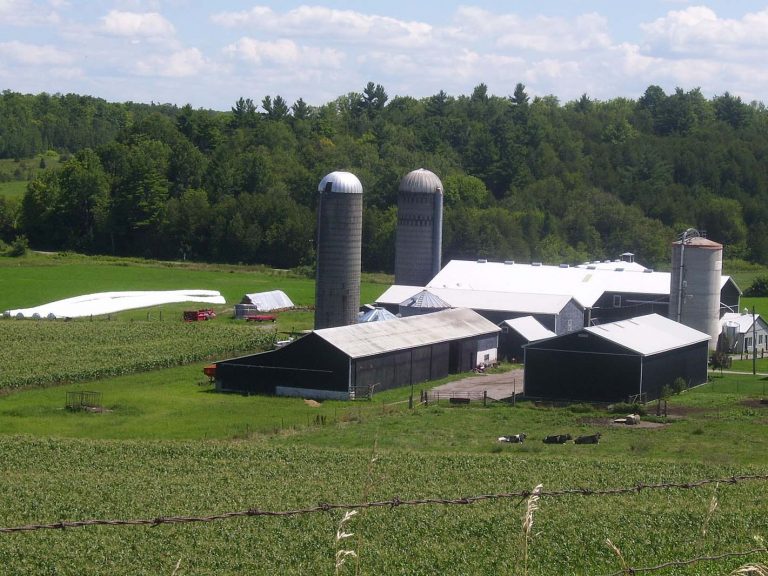 Farm near Campbellford