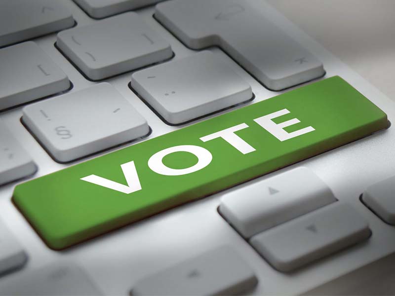 Online Voting