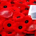 Colborne Legion Poppy Campaign Remembrance Day
