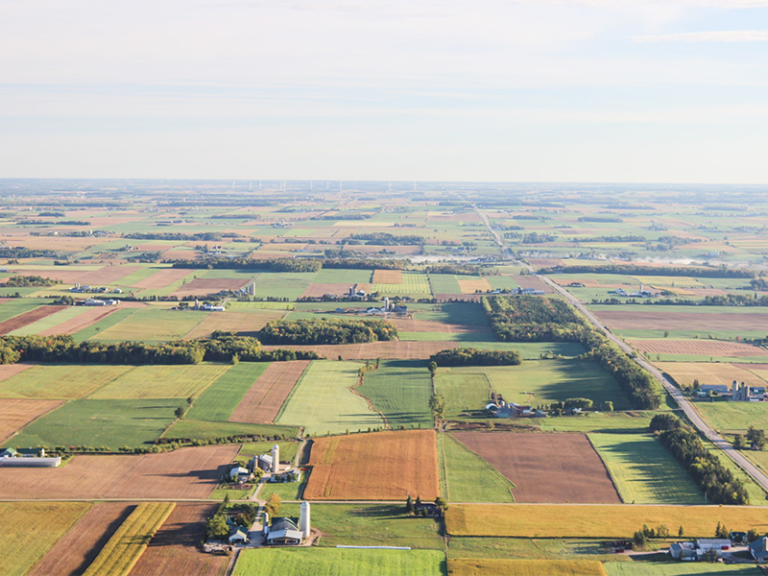 Aerial shot of farmland