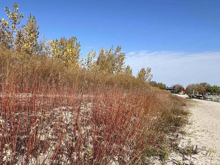 West Headlands Cobourg Beach