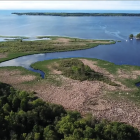 Presqu'ile Park wetland