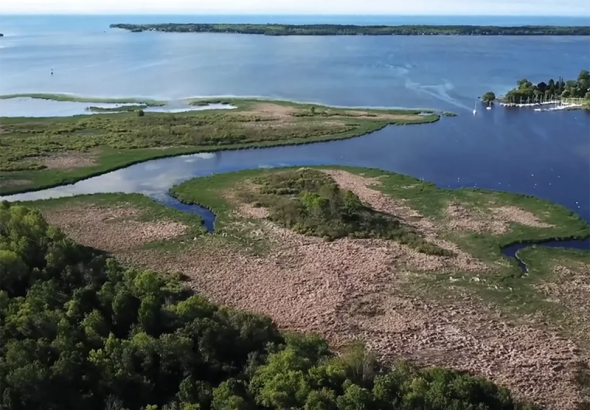 Presqu'ile Park wetland