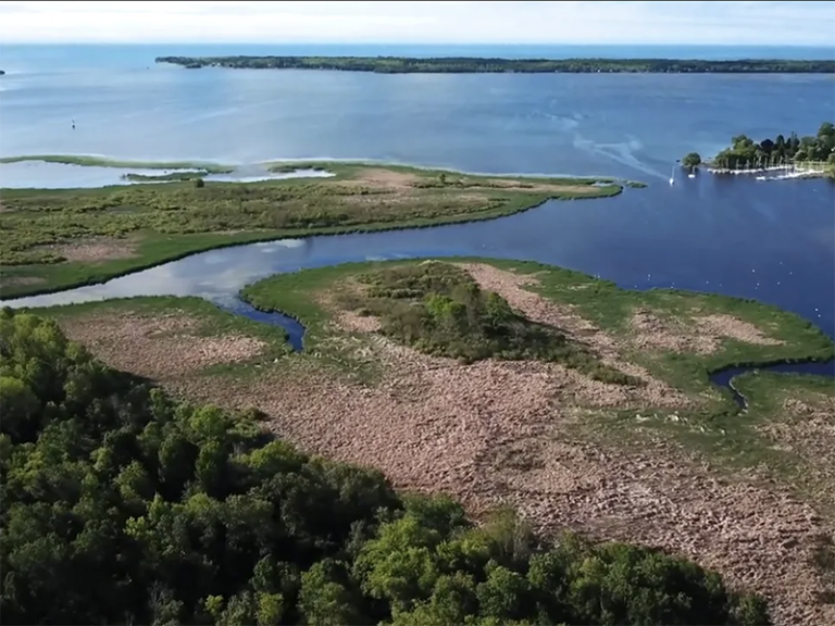 Presqu'ile Park wetland