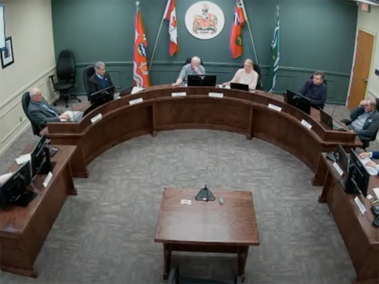 Hamilton Township council
