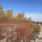 Oct 2024 waterfront nature park 800x600