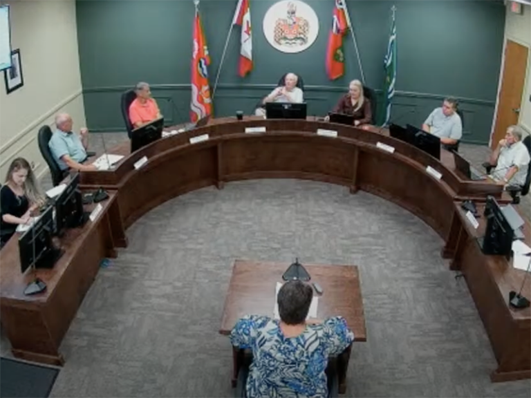 Hamilton Township council