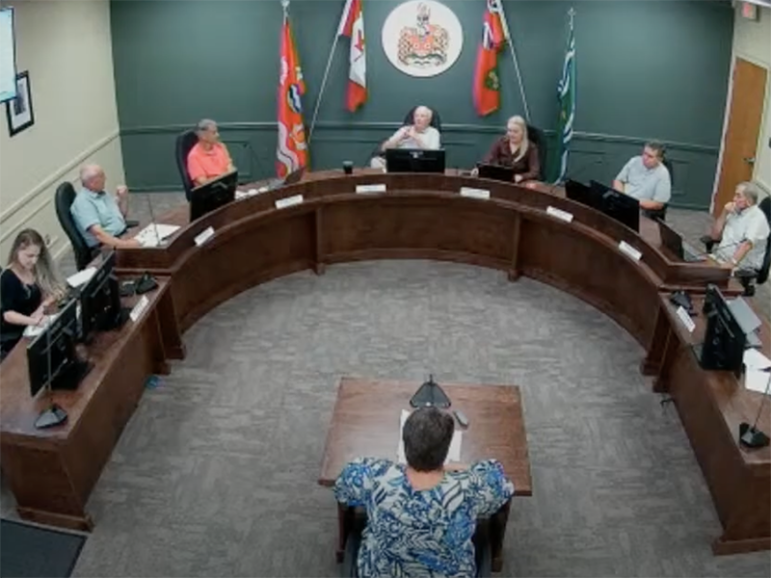 Hamilton Township council