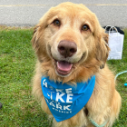 Hike Bike Bark dog