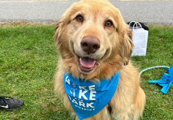 Hike Bike Bark dog
