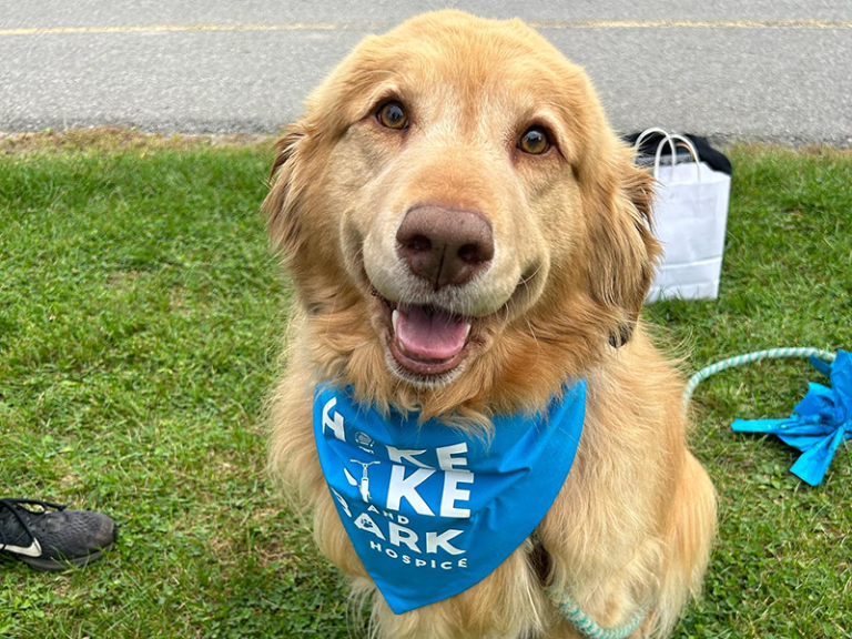 Hike Bike Bark dog