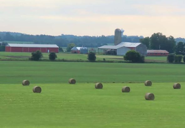 Rural Port Hope