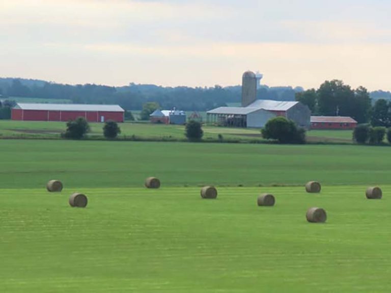 Rural Port Hope