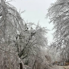 Image of ice storm damage near Ste. Anne's Spa. Courtesy of Jim Corcoran.