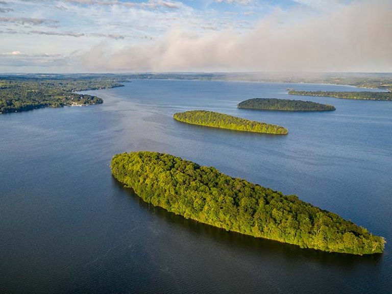 Rice Lake