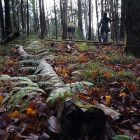 Photo courtesy of Northumberland Land Trust Facebook.