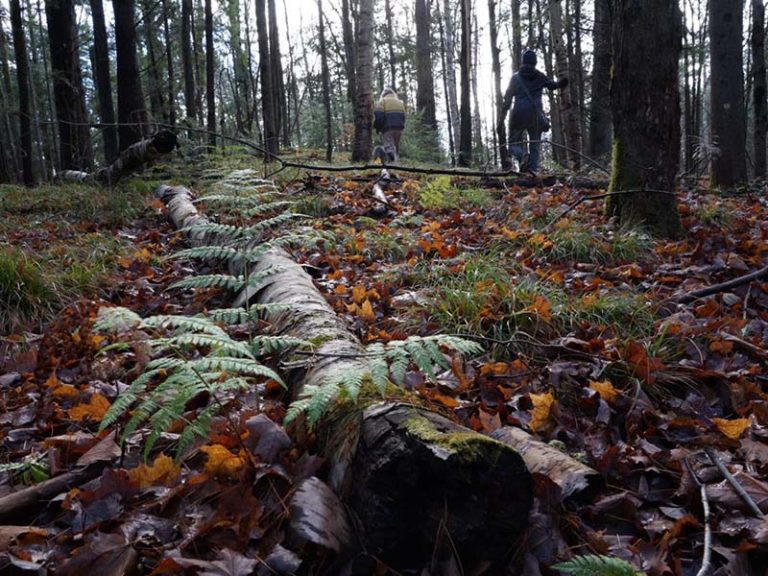 Photo courtesy of Northumberland Land Trust Facebook.