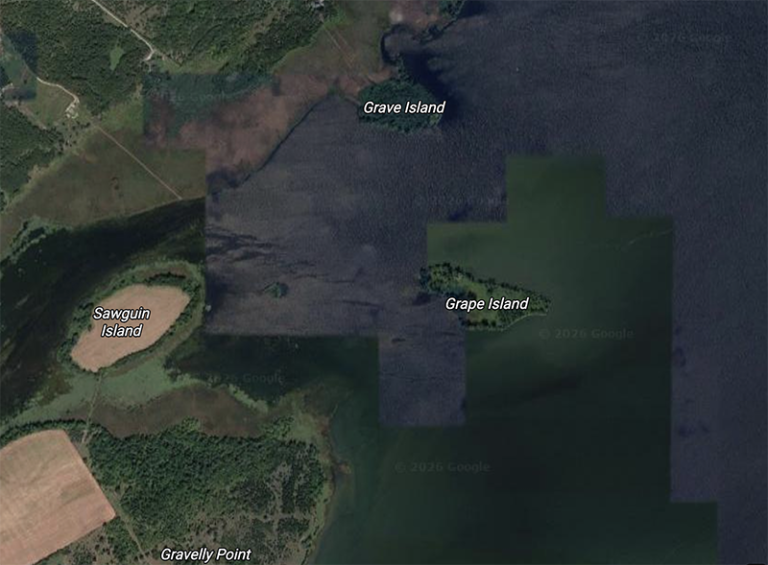 Grape Island Bay of Quinte