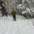 Photo courtesy of Northumberland Land Trust Facebook.