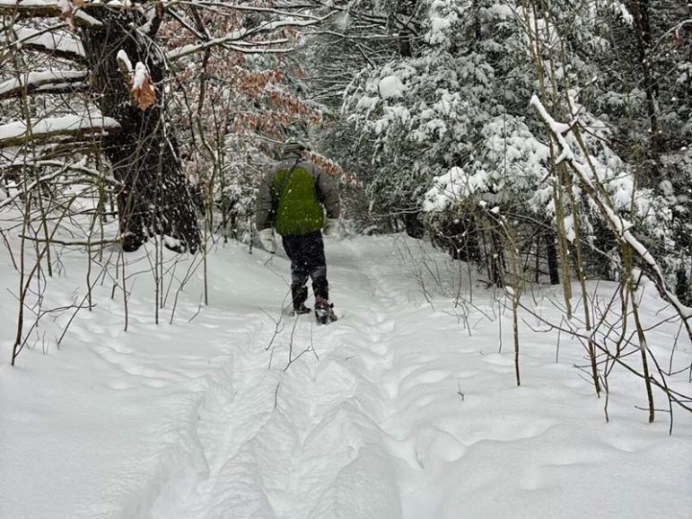 Photo courtesy of Northumberland Land Trust Facebook.
