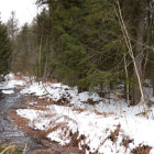 The Rae Blackwell property is one of two new additions to the Northumberland Land Trust in March.