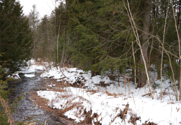 The Rae Blackwell property is one of two new additions to the Northumberland Land Trust in March.