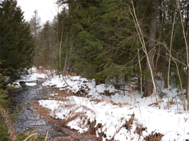 The Rae Blackwell property is one of two new additions to the Northumberland Land Trust in March.