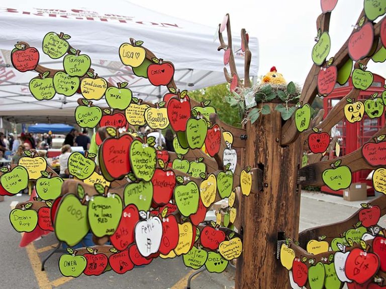 applefest 1 800x600